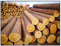 ����ľ������ľ�����ă�(y��u)��(sh��)����