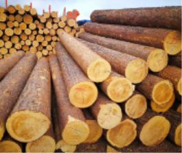 ����ľ�c��ͨľ�ĵą^(q��)�e