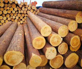 ����ľ�xُ��Ҫע������(xi��ng)  ����