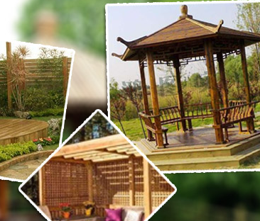 �F(xi��n)�ڵķ���ľ�ИI(y��)�аl(f��)չǰ����